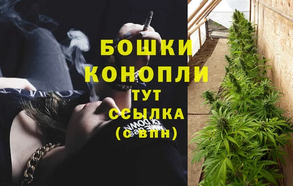 ГАЛЛЮЦИНОГЕННЫЕ ГРИБЫ Магас