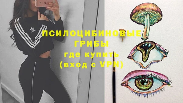 тгк Магадан