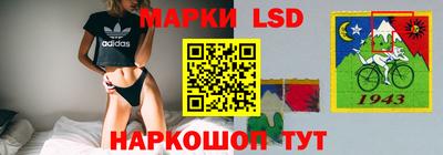 спайс Малгобек