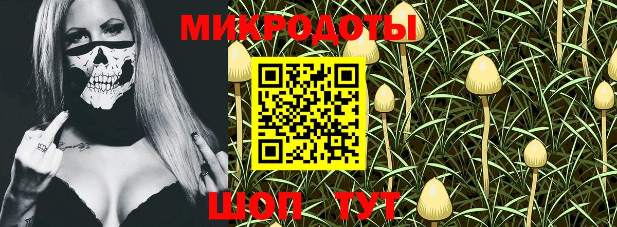 Псилоцибиновые грибы Cubensis  Вход с VPN  закладки  Подольск 