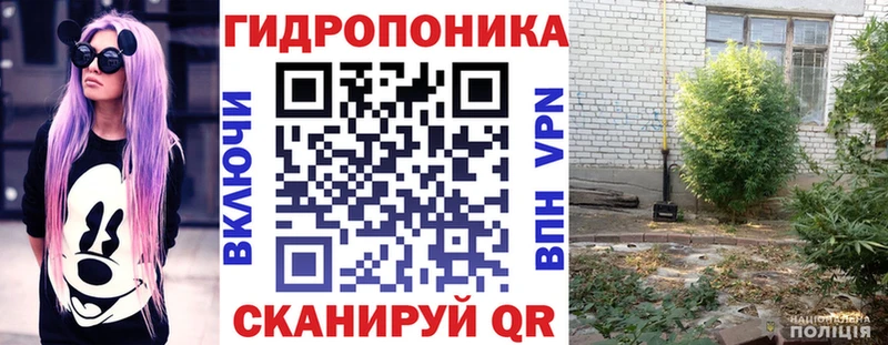 кракен онион  Подольск  Конопля OG Kush 